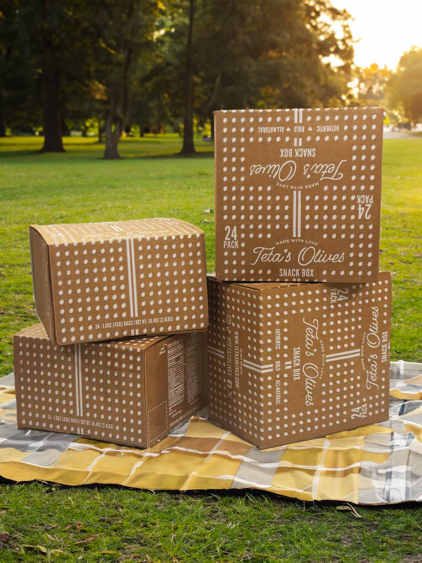 Teta's Olives pre-packaged green olive snack bags available for purchase in the US with fast shipping.