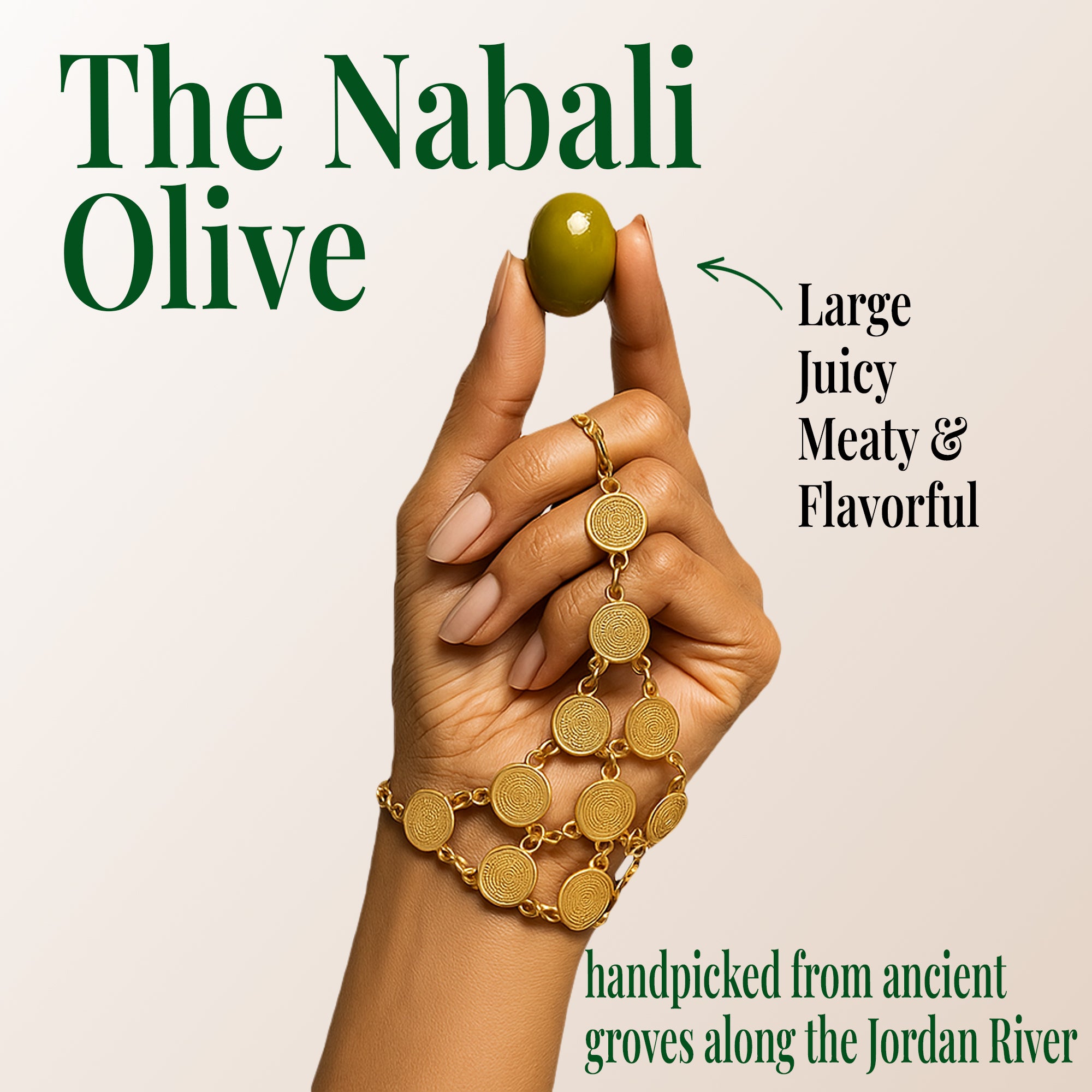 A hand holding large, meaty Nabali green olives known for their firm texture and rich, flavorful taste. Perfect as healthy green olive snacks, on-the-go treats, or gourmet charcuterie board olives