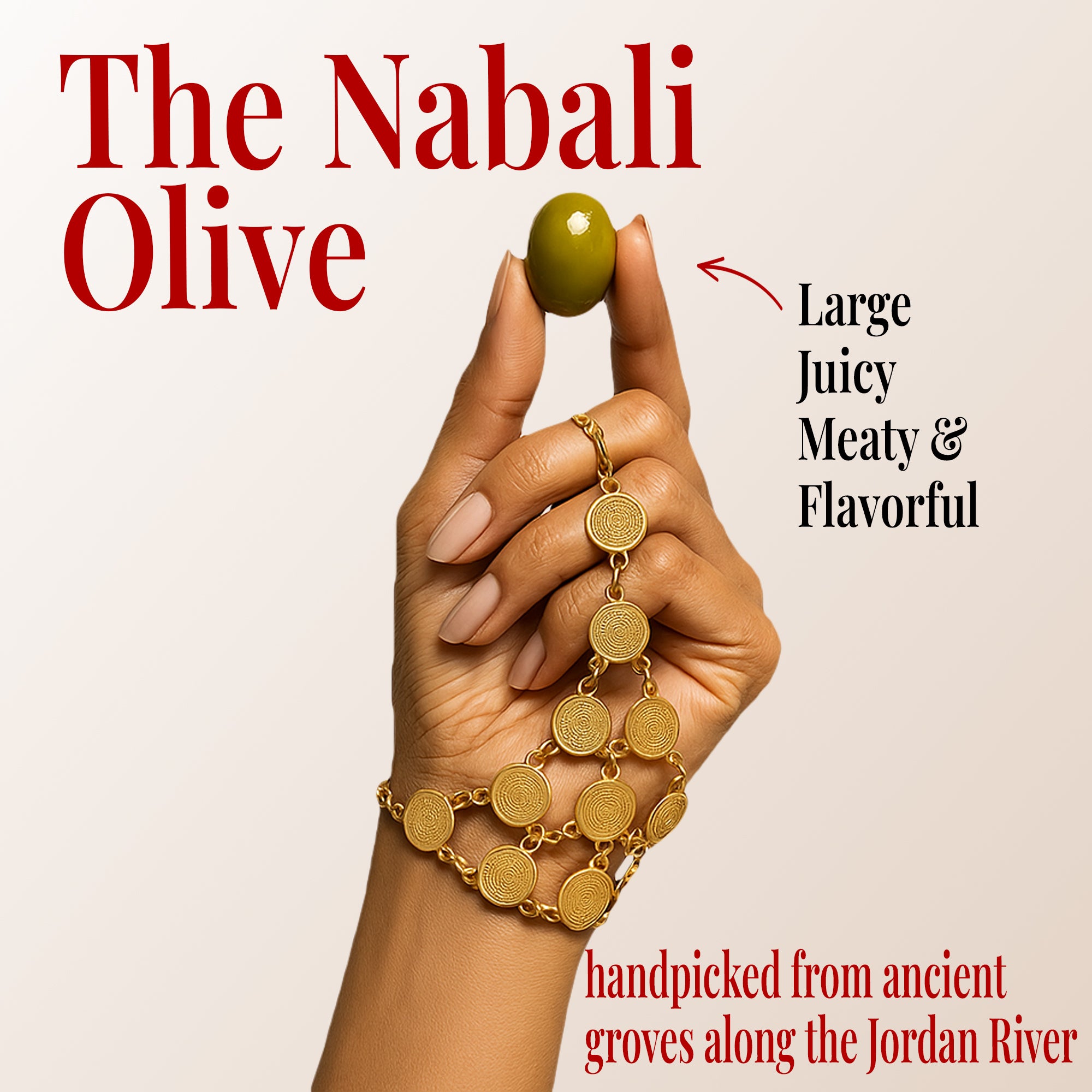 A hand holding large, meaty Nabali green olives known for their firm texture and rich, flavorful taste. Perfect as healthy green olive snacks, on-the-go treats, or gourmet charcuterie board olives