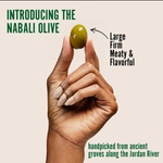 A hand holding large, meaty Nabali green olives known for their firm texture and rich, flavorful taste. Perfect as healthy green olive snacks, on-the-go treats, or gourmet charcuterie board olives